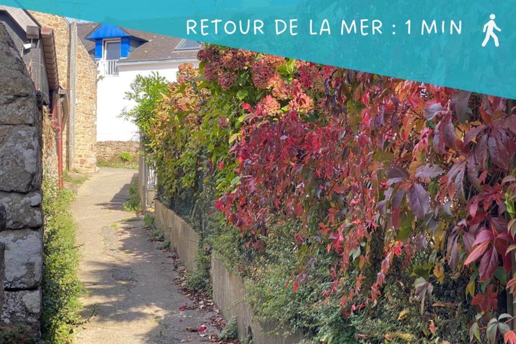 Ty Gavrinis - T2- Centre Bourg - 100M De La Mer Larmor-Baden Exterior foto
